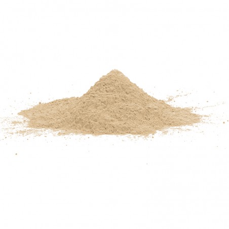 La poudre de résine-ciment beige pâle forme un petit tas conique sur une surface unie et blanche.