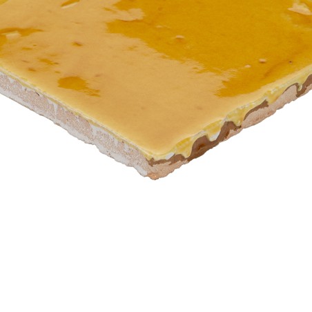 Handmade Terracotta Vitri Honey 10x10 | Ceramic Connection