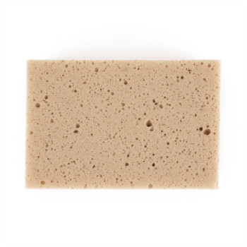 Une éponge rectangulaire beige repose à plat, présentant de petits trous irréguliers sur toute sa surface, sur un fond blanc uni