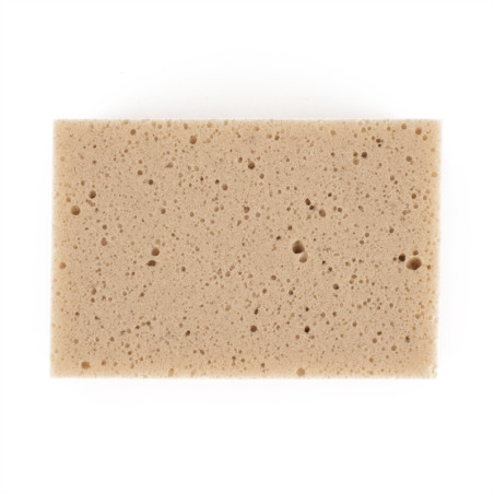 Une éponge rectangulaire beige repose à plat, présentant de petits trous irréguliers sur toute sa surface, sur un fond blanc uni