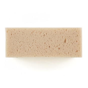 Una esponja rectangular de color beige con una textura porosa se asienta sobre un fondo blanco liso.