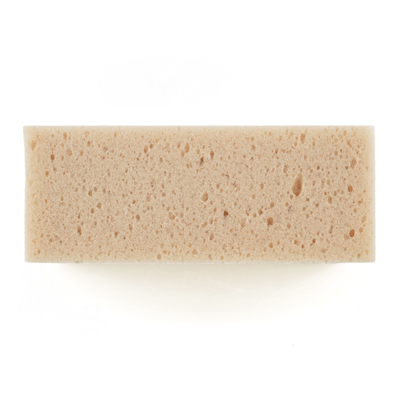 Una esponja rectangular de color beige con una textura porosa se asienta sobre un fondo blanco liso.