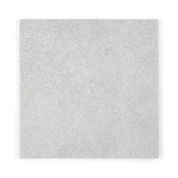 Un azulejo cuadrado de color gris claro muestra una superficie texturizada con patrones moteados, sobre un fondo blanco liso.