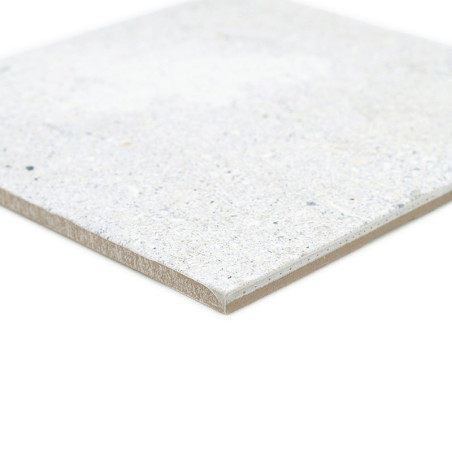 A smooth, square ceramic tile rests on a white background, showing a mottled light gray and beige speckled surface.