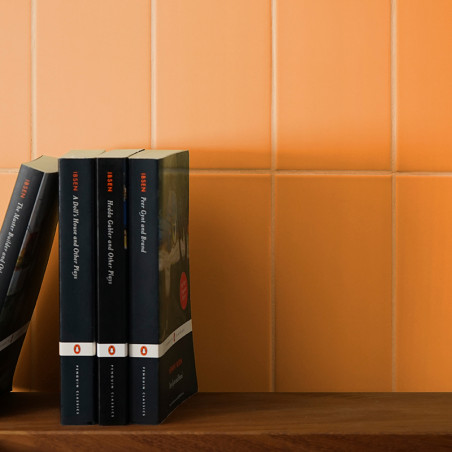 Los libros están de pie sobre un estante de madera. El telón de fondo es una pared de azulejos de color naranja apagado, que cre