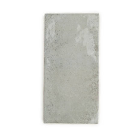 Un carreau de béton rectangulaire gris clair présente des taches subtiles et des textures irrégulières, suggérant un aspect natu