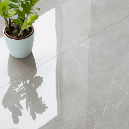 A small potted plant casts a clear reflection on a glossy, light gray tiled floor, highlighting the tiles smooth, polished surfa