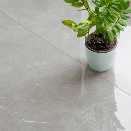 A potted plant with glossy green leaves sits quietly atop a smooth, gray marble tile floor, reflecting natural light.