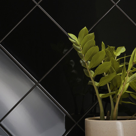 Glossy black tiles form a diagonal pattern on a wall, highlighting their sleek surface. A potted plant with green leaves stands 