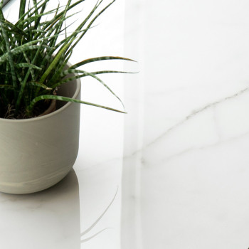 Une plante verte en pot repose sur une surface lisse en marbre blanc, reflétant une douce lumière naturelle dans un cadre minima