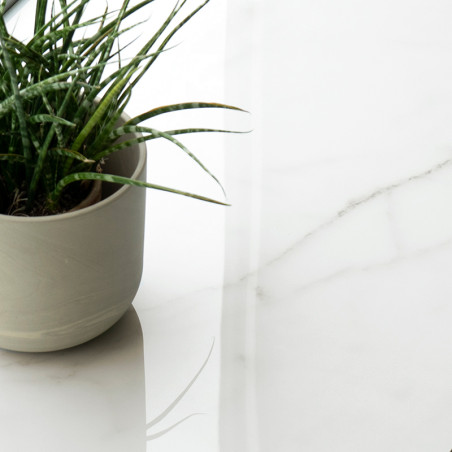 Une plante verte en pot repose sur une surface lisse en marbre blanc, reflétant une douce lumière naturelle dans un cadre minima