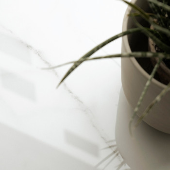 Une plante en pot aux feuilles longues et fines repose sur une surface lisse, blanche et réfléchissante, suggérant un environnem