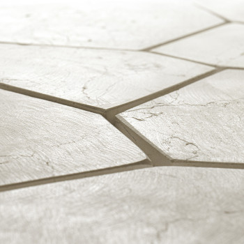 Hexagonal stone tiles lie in a seamless, textured pattern, creating a smooth, unified surface in a neutral setting.