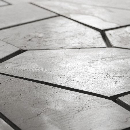 Stone tiles form an irregular, geometric pattern with visible cracks, situated on a smooth, neutral-toned surface.