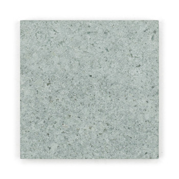 Gray stone tile, sitting flat, displaying a textured, speckled pattern with subtle variations in shade and color.
