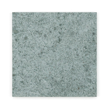 Square stone tile displaying speckled gray texture, resting on a plain white background.