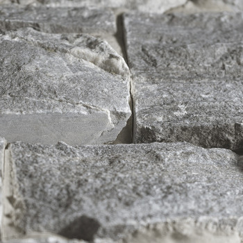 Gray stone tiles arranged side by side, forming a textured surface in a natural, rugged setting.
