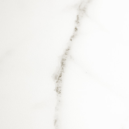 Les carreaux de marbre blanc présentent une subtile veine grise en diagonale, créant une apparence naturelle et élégante sur une