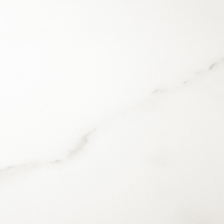 Un carreau blanc et lisse présente des marbrures grises subtiles, créant une apparence calme et minimaliste adaptée aux espaces 