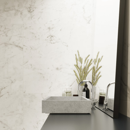 Un lavabo de piedra rectangular se asienta sobre una encimera oscura y se refleja en un espejo. Está rodeado de hierbas decorati