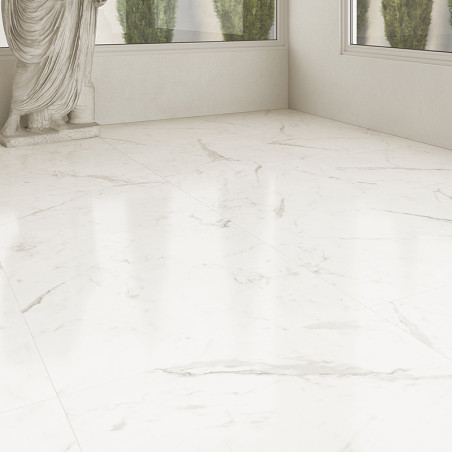 Des carreaux de marbre blanc avec de subtiles veines grises recouvrent un sol. Une statue classique se dresse à proximité et de 