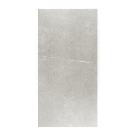 A rectangular, light gray tile features subtle marbling patterns, suggesting a smooth and sleek surface suitable for flooring or