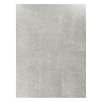 Un carreau rectangulaire gris clair présente des motifs marbrés subtils, suggérant une surface lisse et élégante adaptée au sol 