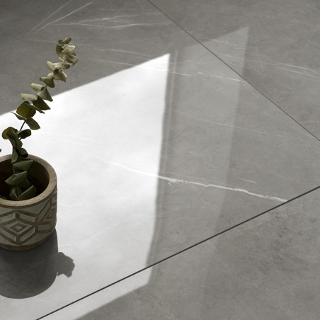 Uma pequena planta em um vaso decorativo fica sobre ladrilhos cinza lisos e reflexivos. A luz de uma janela projeta uma sombra g