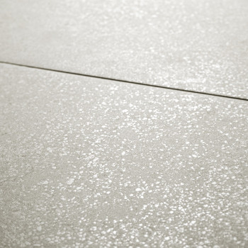 Le carreau présente une surface gris clair avec une texture mouchetée, mettant en valeur de subtiles taches chatoyantes. Il fait