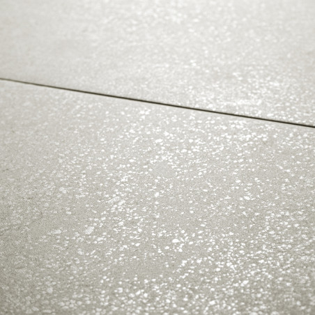 Le carreau présente une surface gris clair avec une texture mouchetée, mettant en valeur de subtiles taches chatoyantes. Il fait