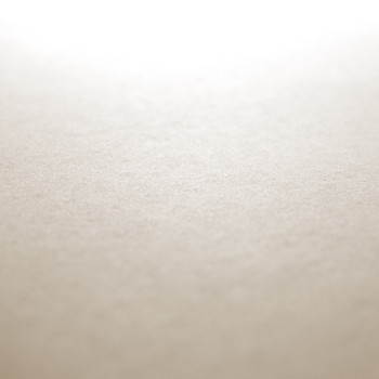 Een glad, lichtbeige oppervlak reflecteert zacht licht, waardoor een zacht verloopeffect ontstaat. er zijn geen tekst of afzonde