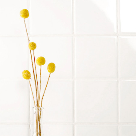 Las bolas amarillas se encuentran en posición vertical en un jarrón transparente sobre un fondo de azulejos blancos brillantes.