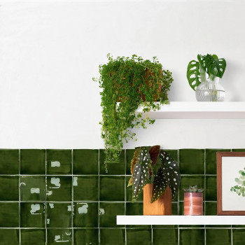 Una pared blanca alberga dos estantes con plantas en macetas y decoración, sobre azulejos de color verde oscuro brillante. Una p