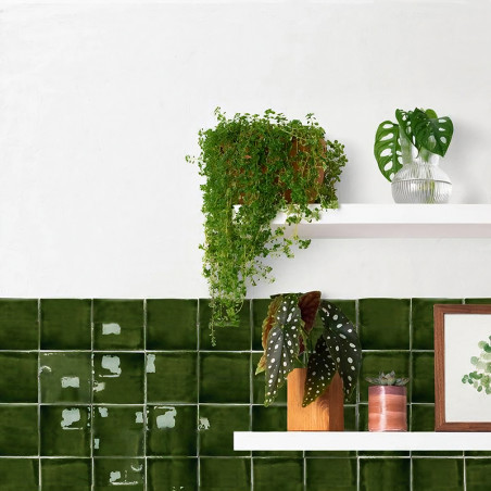 Una pared blanca alberga dos estantes con plantas en macetas y decoración, sobre azulejos de color verde oscuro brillante. Una p