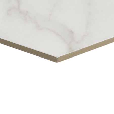 Un carreau de céramique carré présente une surface lisse et brillante avec de subtiles marbrures grises. Il repose en angle, met