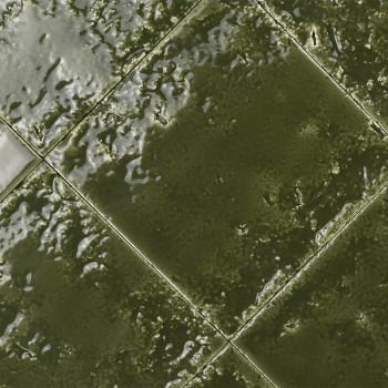 Tegel Bahia-13 Groen| Ceramic Connection