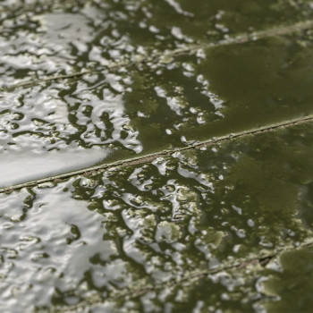 Bahia-26 Green Tile | Ceramic Connection