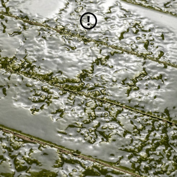 Tegel Bahia-26 Groen| Ceramic Connection